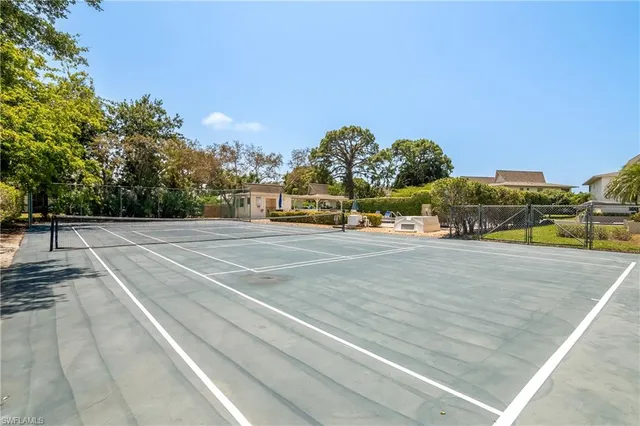a view of a lake with a palm trees