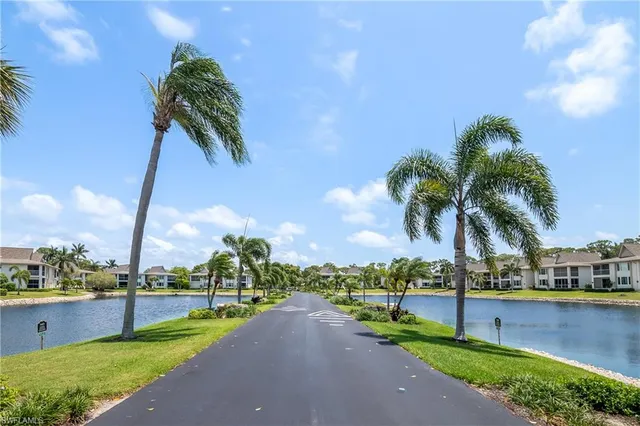 a view of a park with palm trees