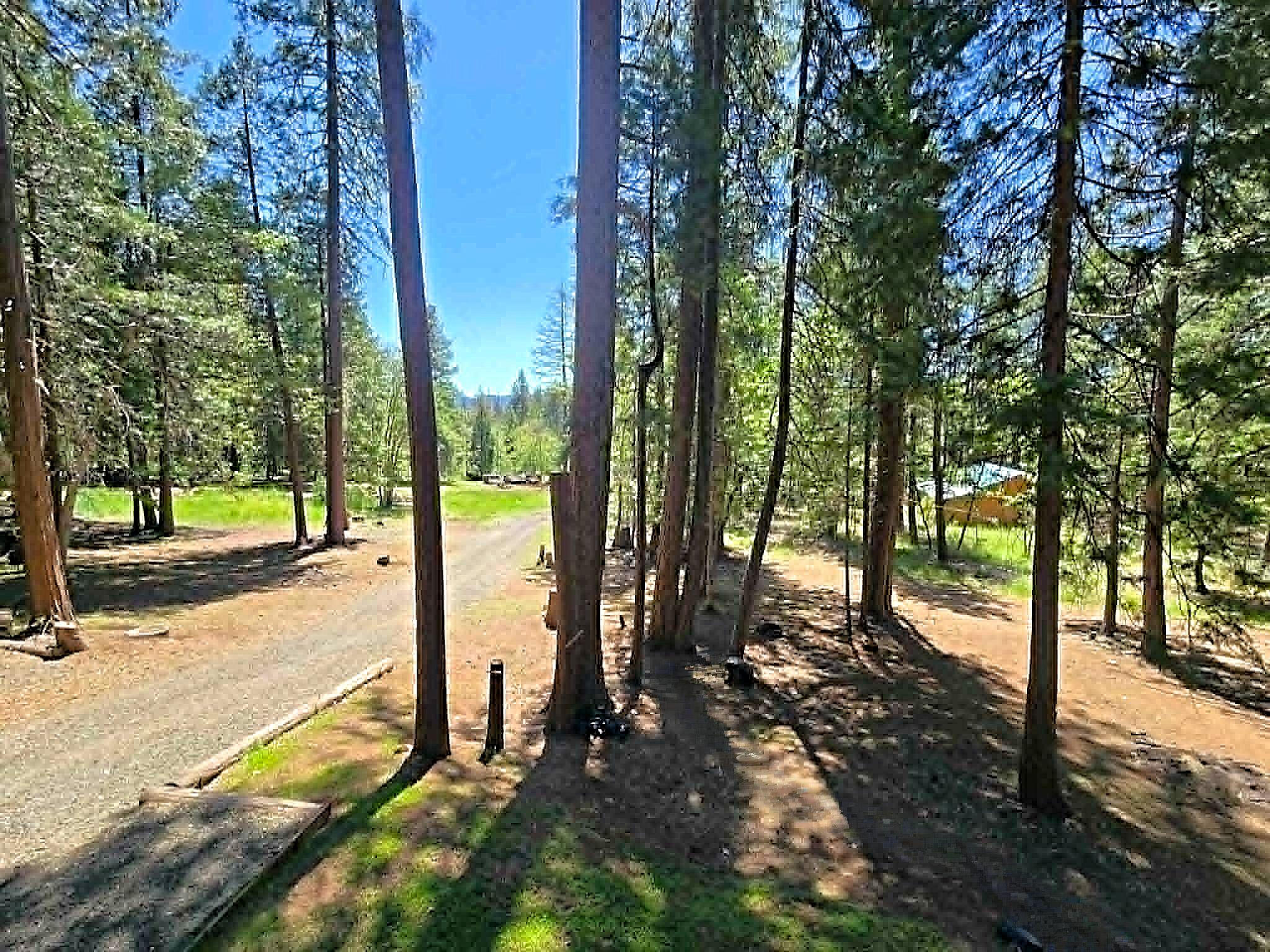 836 Ulrich Road Prospect, OR 97536 - Photo 33 of 47 a view of a park with large trees