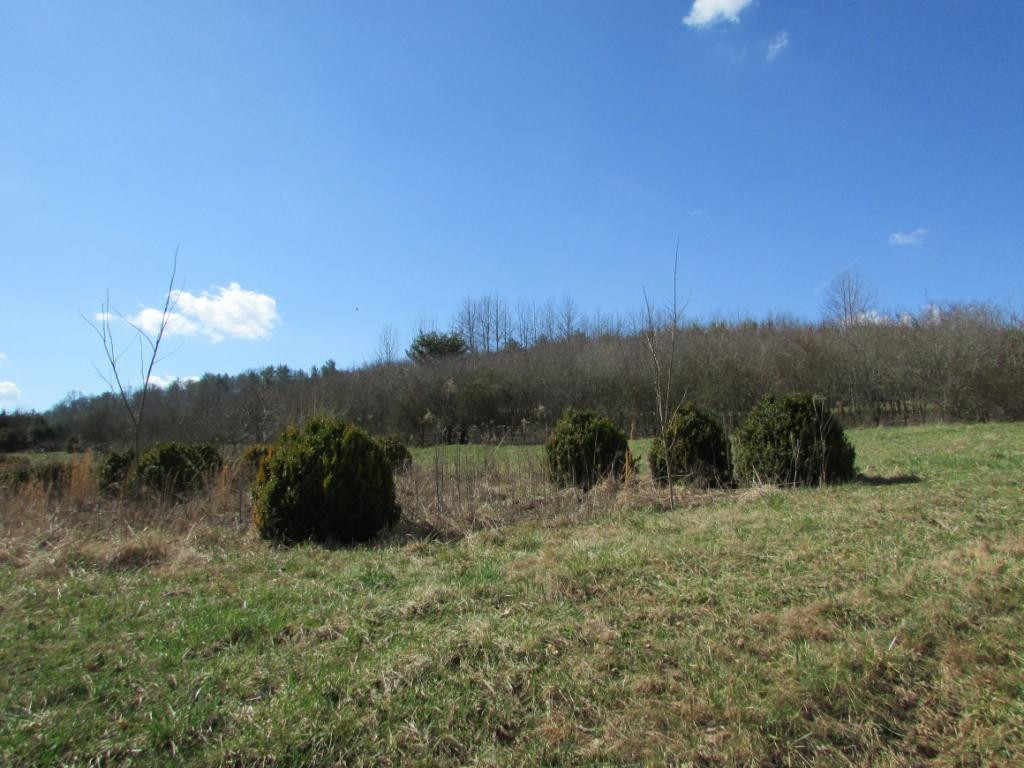 Tbd Copley Branch Road Butler, TN 37640 - Photo 3 of 36 Photo 3