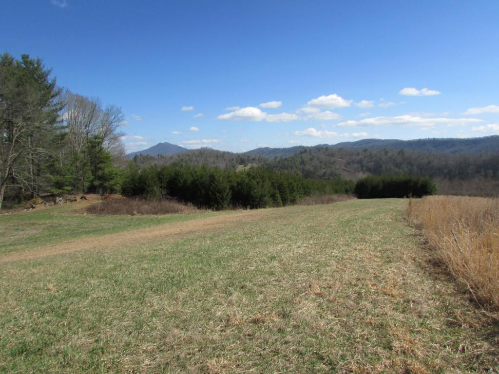 Tbd Copley Branch Road Butler, TN 37640 - Photo 8 of 36 Photo 8