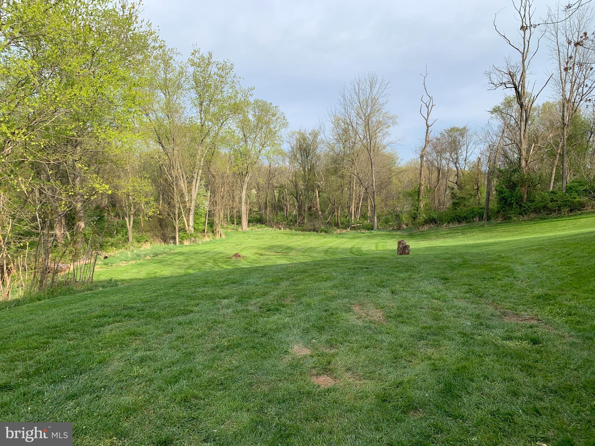 14138 Rover Mill Road West Friendship, MD 21794 - Photo 28 of 33 Beautiful and peaceful rear yard