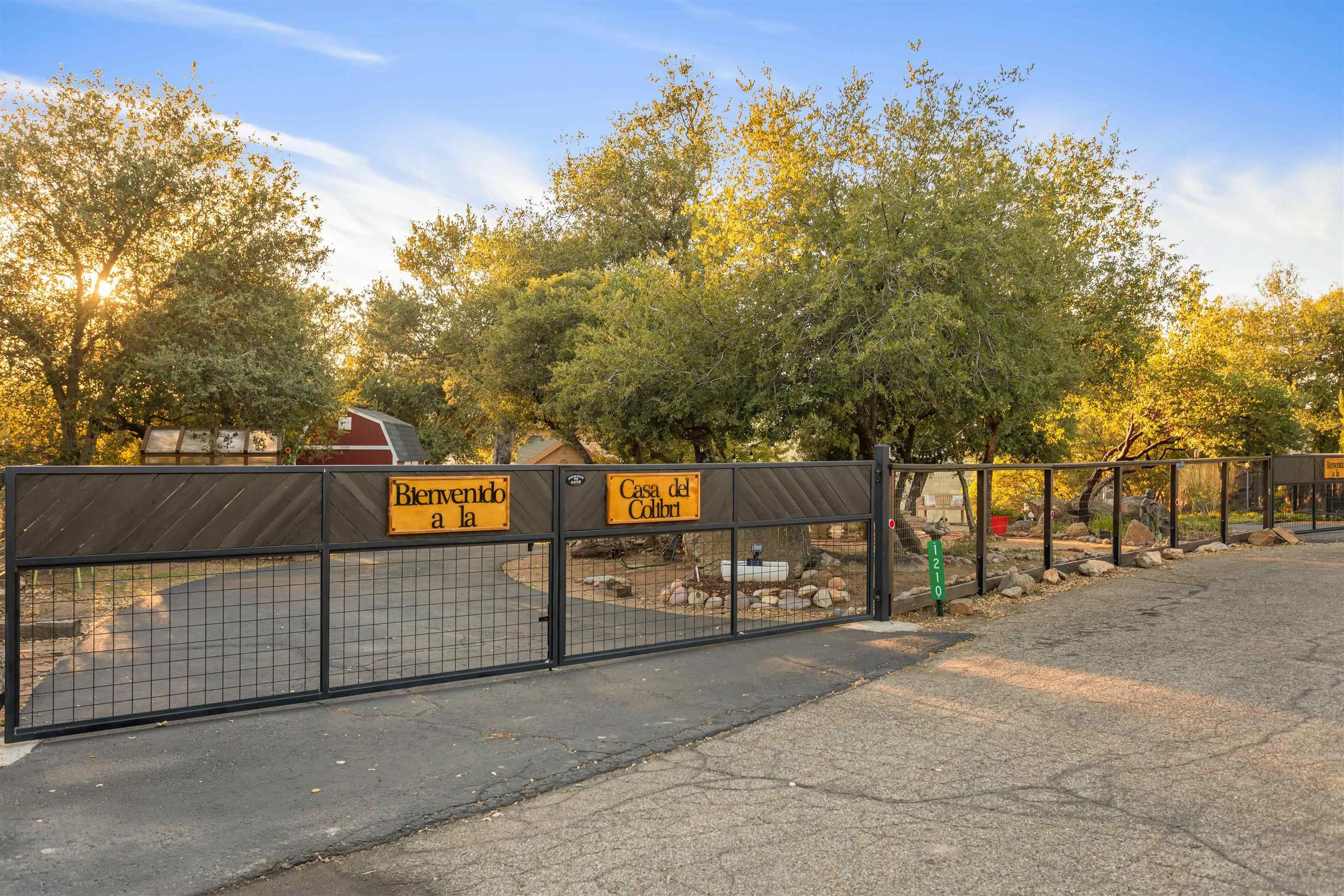 1210 Lakedale Road Santa Ysabel, CA 92070 - Photo 11 of 67 a view of street and basketball court