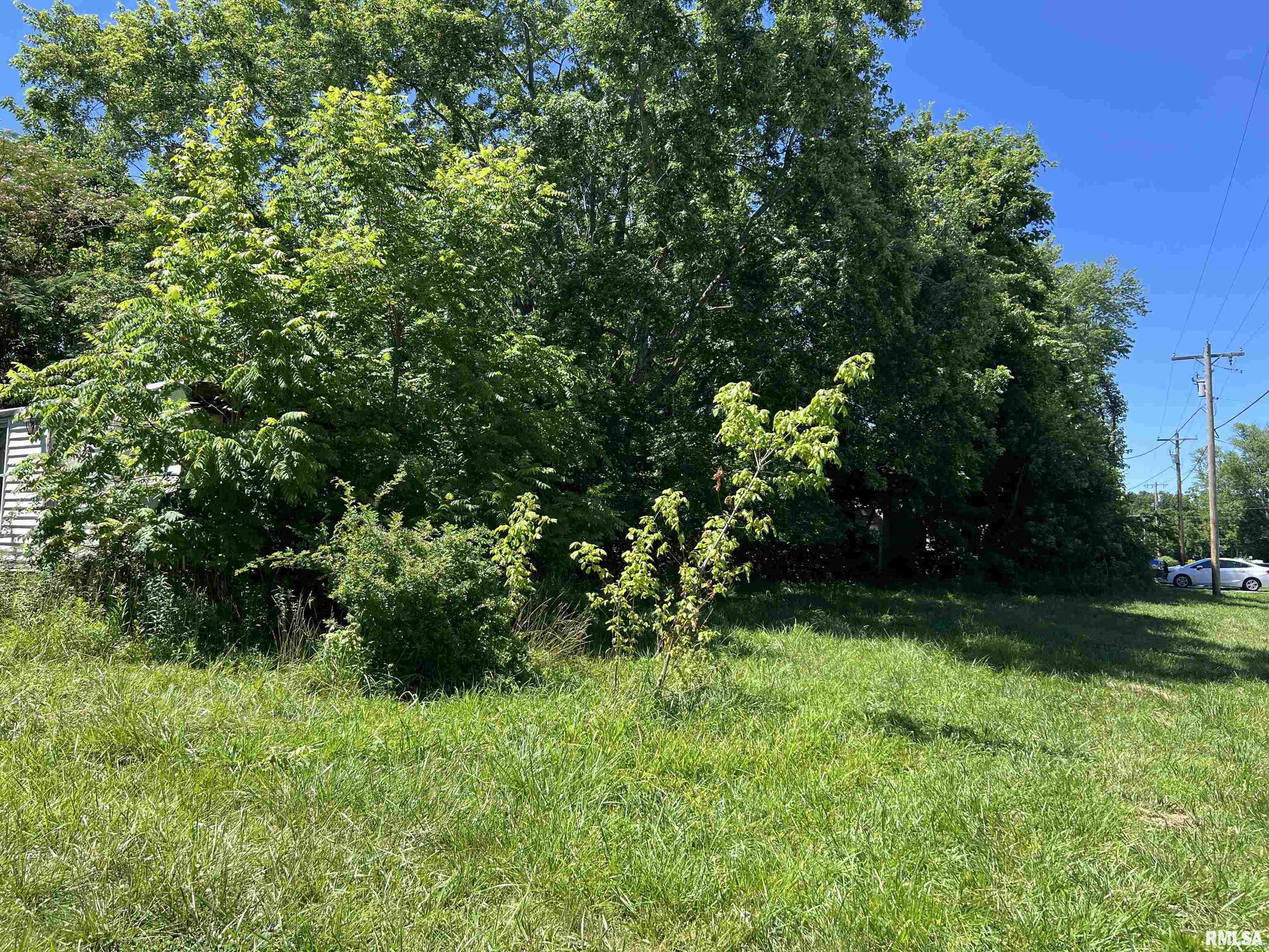 479 Warren Road Carbondale, IL 62901 - Photo 12 of 12 Gallery Image 12