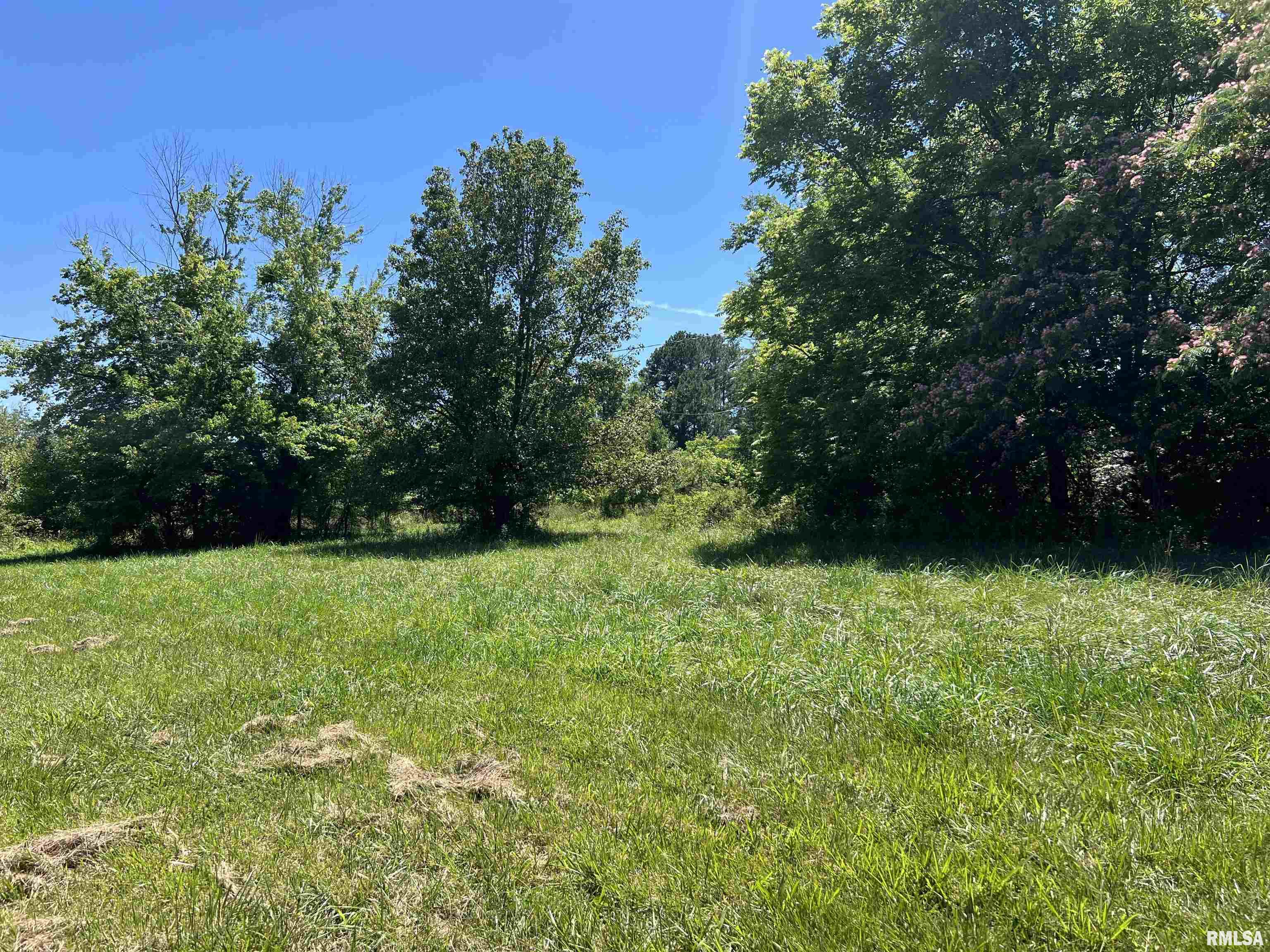 479 Warren Road Carbondale, IL 62901 - Photo 3 of 12 Gallery Image 3