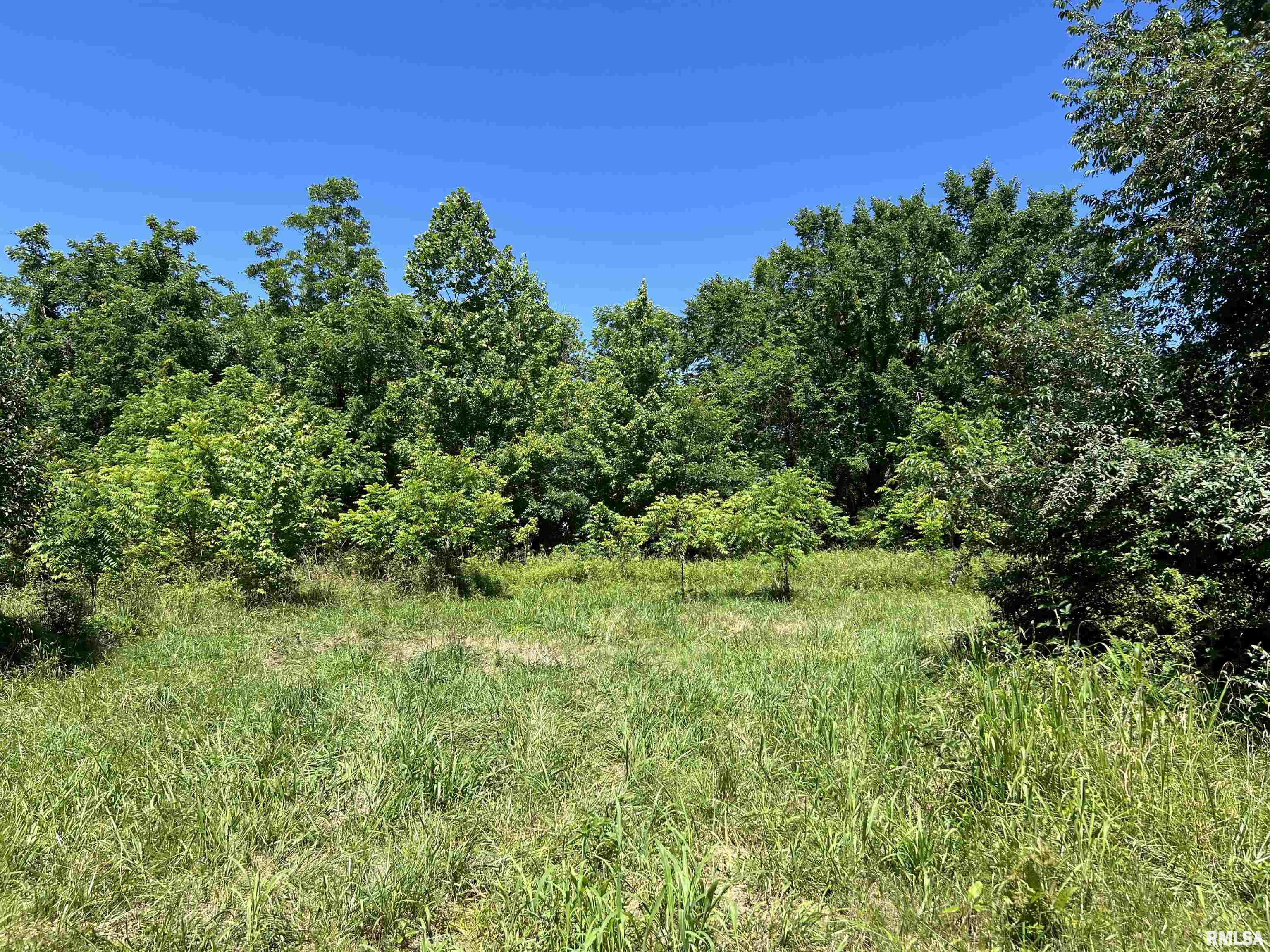 479 Warren Road Carbondale, IL 62901 - Photo 7 of 12 Gallery Image 7