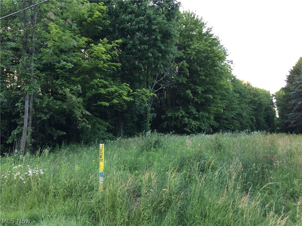 4633 S/l 17 Ranchwood Road Akron, OH 44333 - Photo 2 of 5