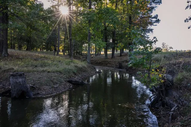 a view of lake with trees