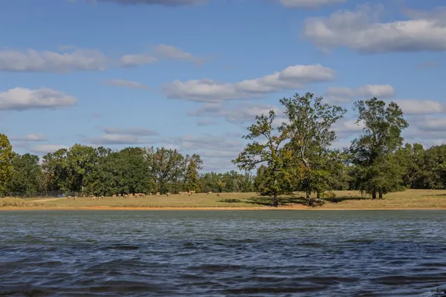 a view of yard and swimming pool