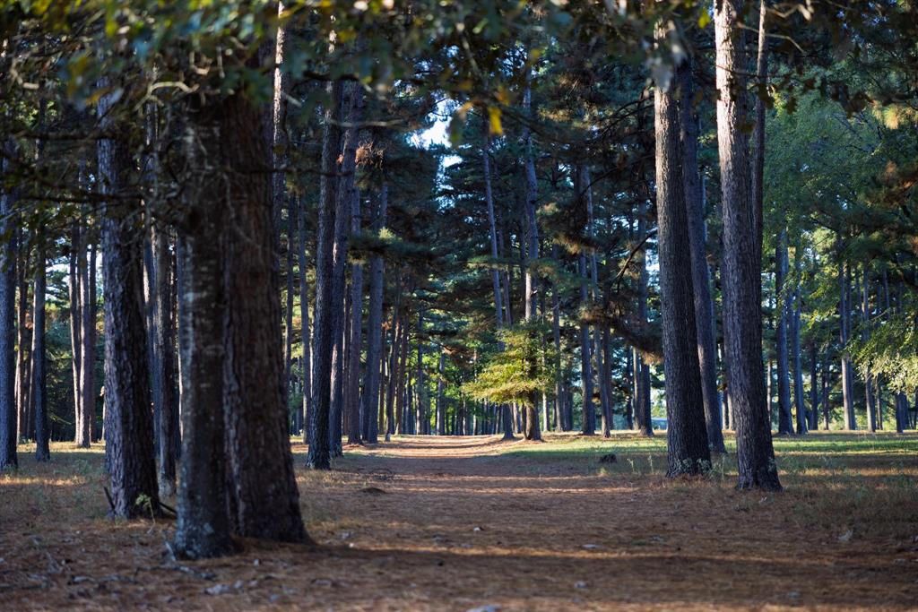 401 Leather Shop Road Karnack, TX 75661 - Photo 14 of 40