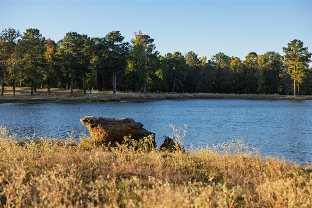 401 Leather Shop Road Karnack, TX 75661 - Photo 15 of 40