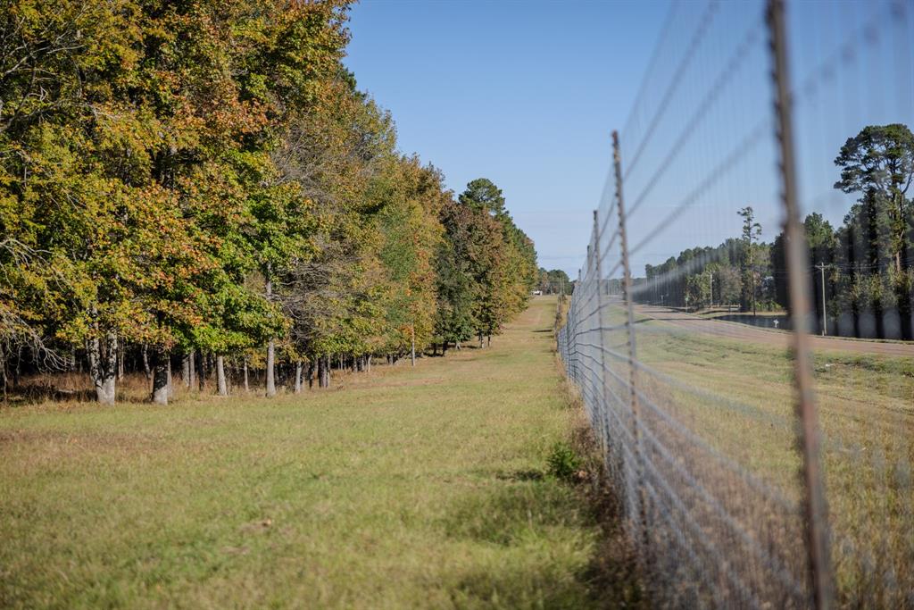401 Leather Shop Road Karnack, TX 75661 - Photo 19 of 40