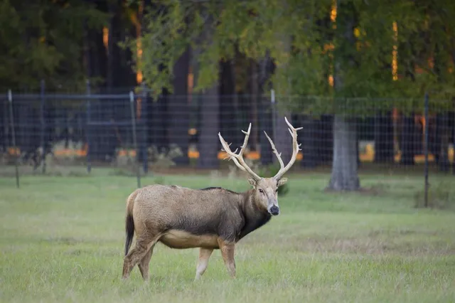 a view of a lake with outdoor space