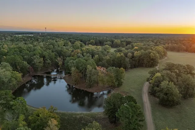 an aerial view of residential houses with outdoor space and trees