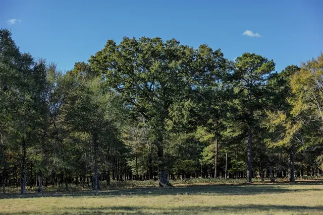 $3,700,000 | 401 Leather Shop Road, Karnack, TX 75661