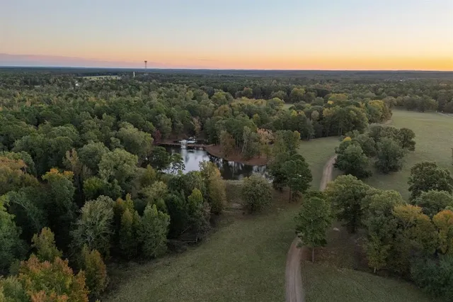 a view of a city with lush green forest