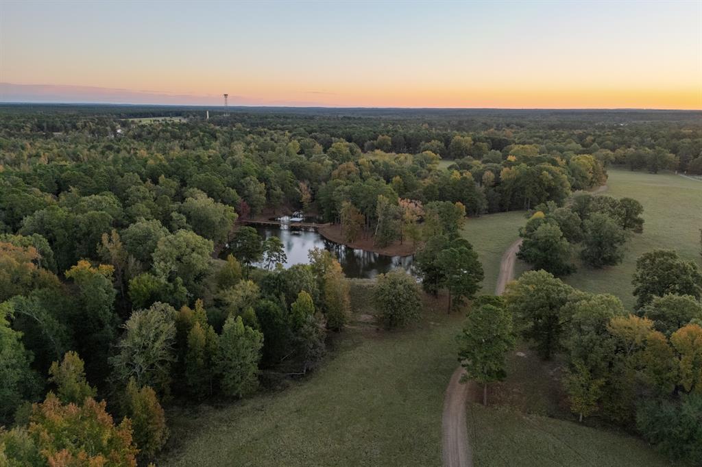 401 Leather Shop Road Karnack, TX 75661 - Photo 5 of 40