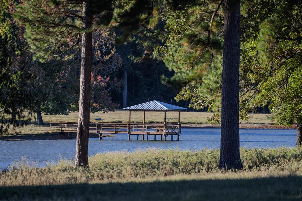 401 Leather Shop Road Karnack, TX 75661 - Photo 6 of 40