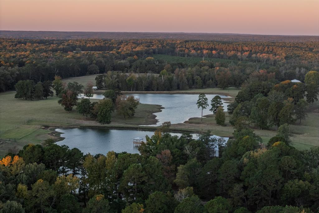 401 Leather Shop Road Karnack, TX 75661 - Photo 7 of 40