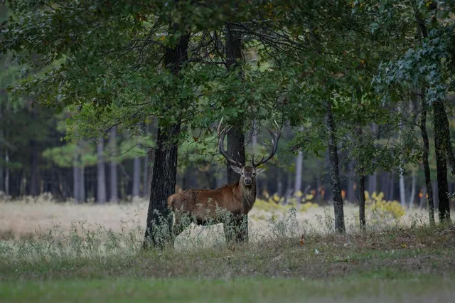 a view of outdoor space and a lake view