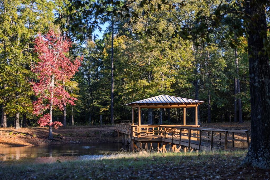 401 Leather Shop Road Karnack, TX 75661 - Photo 10 of 40