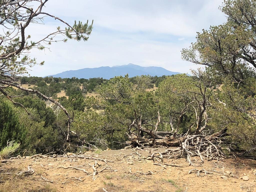 87-119 Twin Lakes Road Walsenburg, CO 81089 - Photo 21 of 21