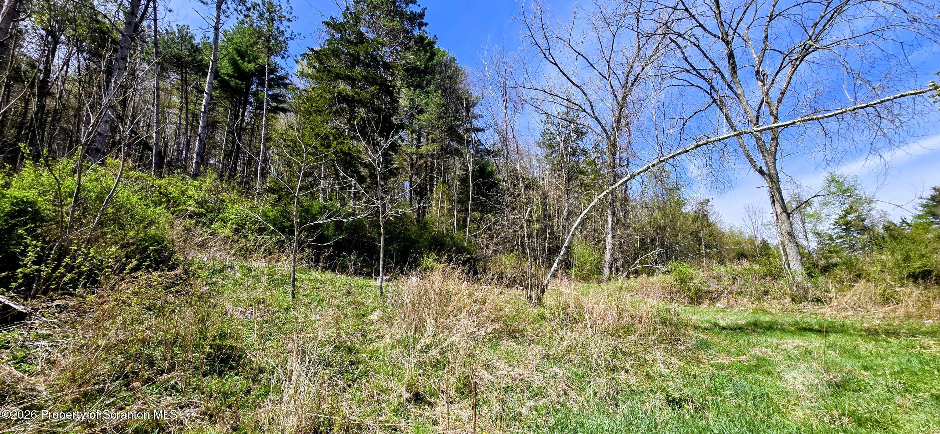 1181 White Creek Road Meshoppen, PA 18630 - Photo 36 of 50 20260423_143634~2
