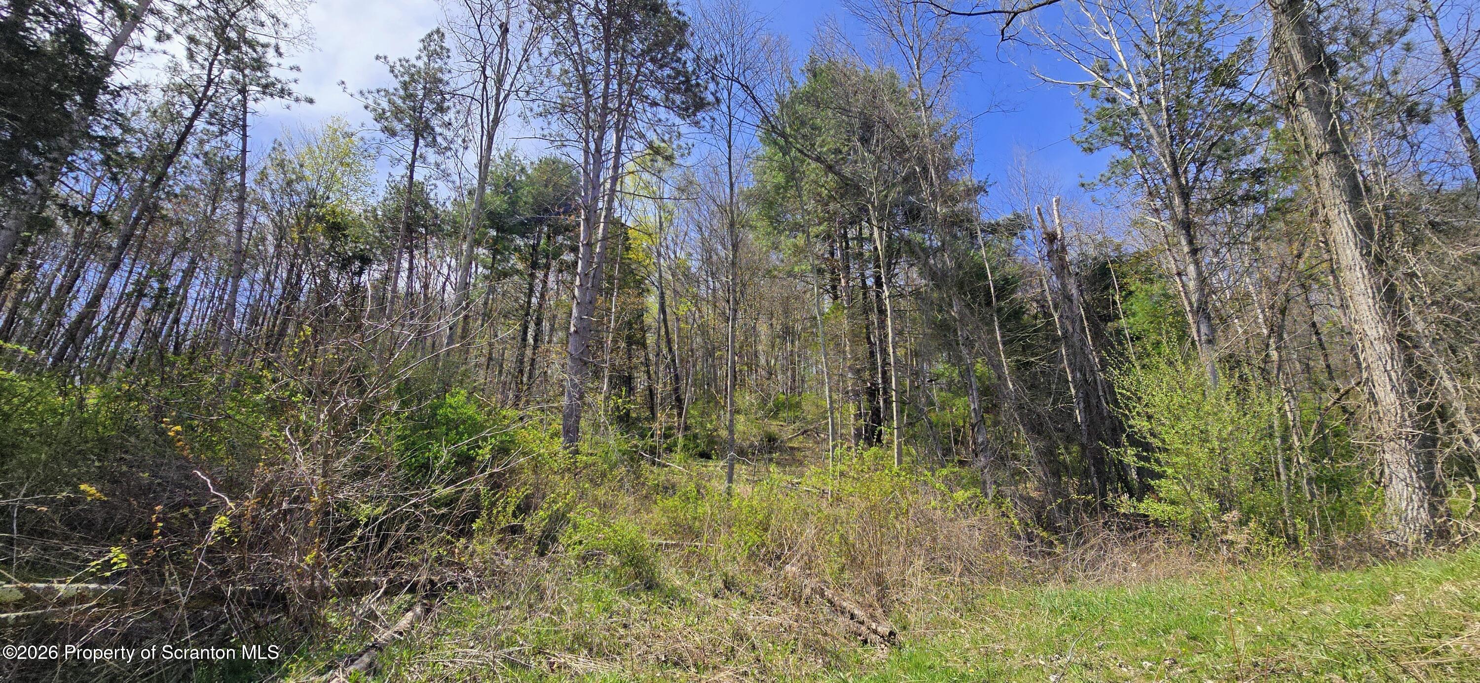 1181 White Creek Road Meshoppen, PA 18630 - Photo 38 of 50 20260423_143701~2