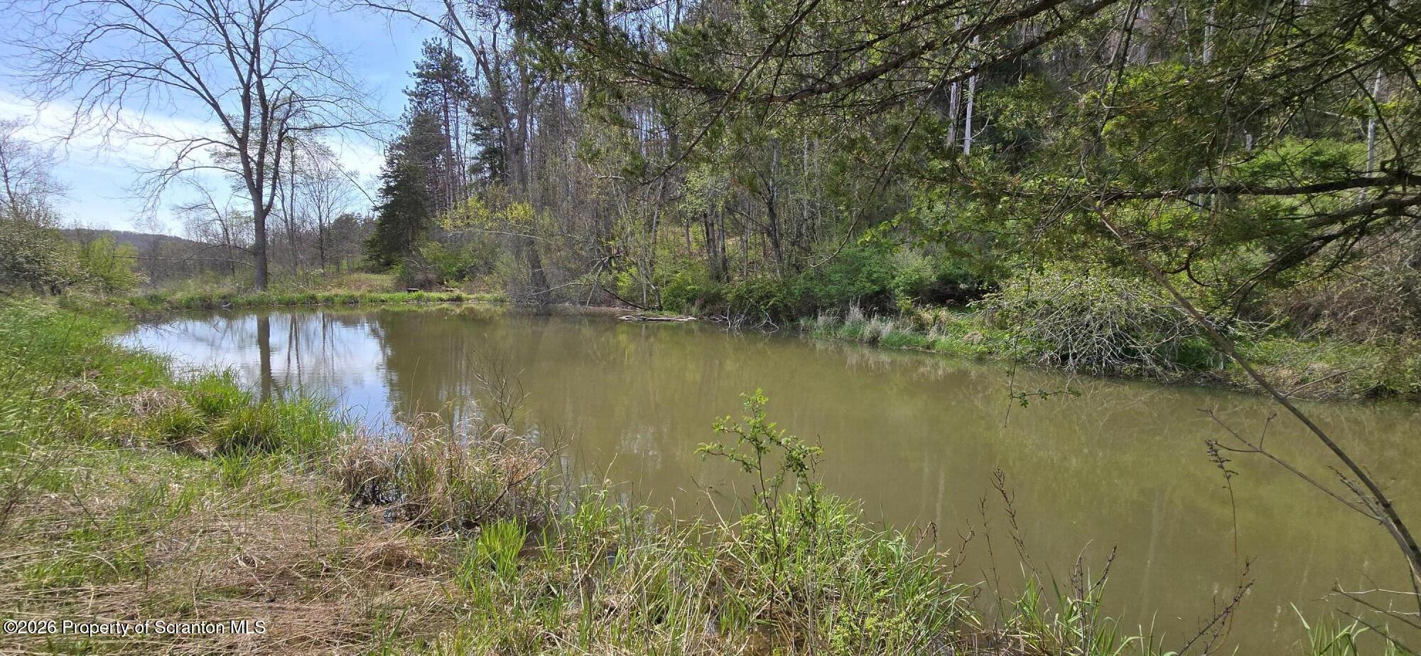 1181 White Creek Road Meshoppen, PA 18630 - Photo 40 of 50 20260423_143822