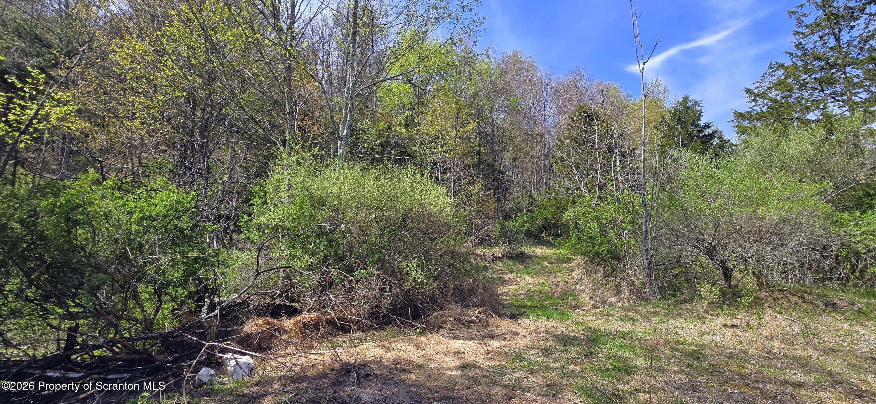 1181 White Creek Road Meshoppen, PA 18630 - Photo 45 of 50 20260423_143932~2