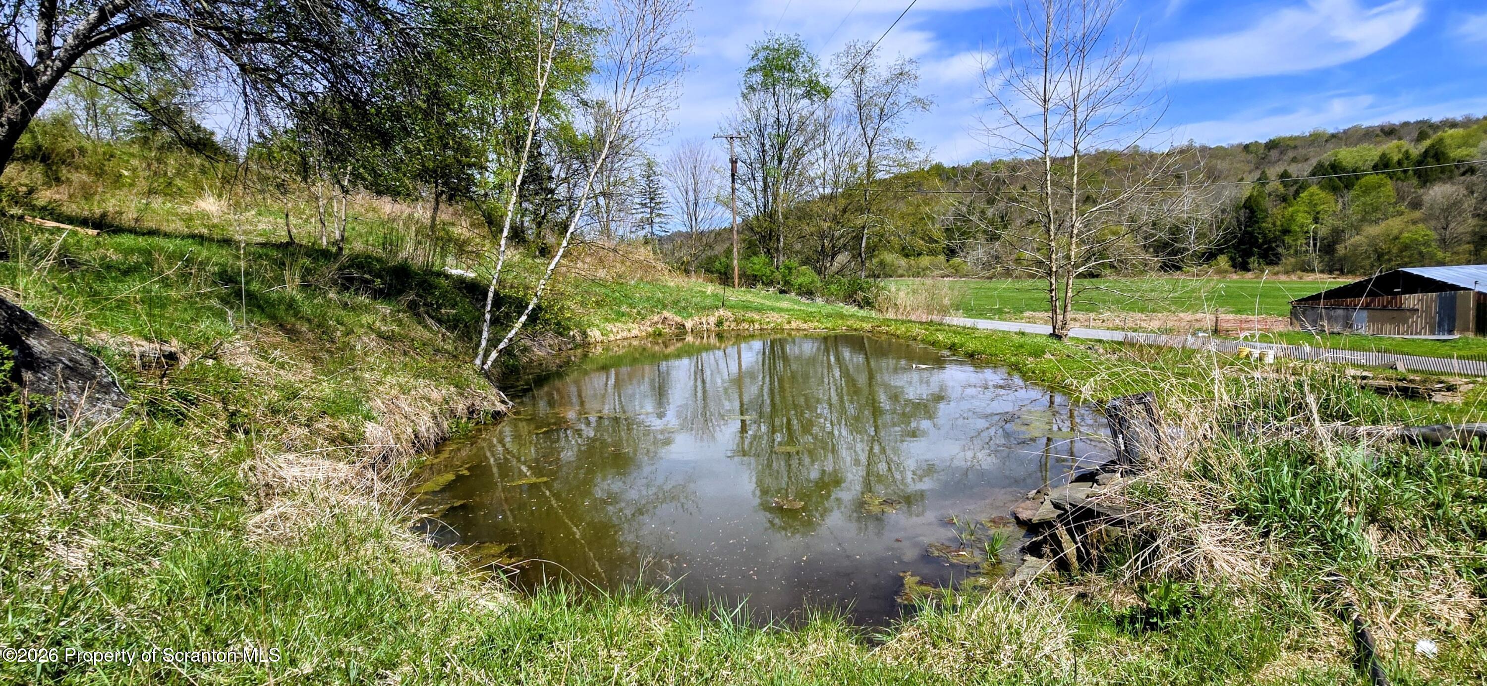 1181 White Creek Road Meshoppen, PA 18630 - Photo 6 of 50 20260423_143609~2