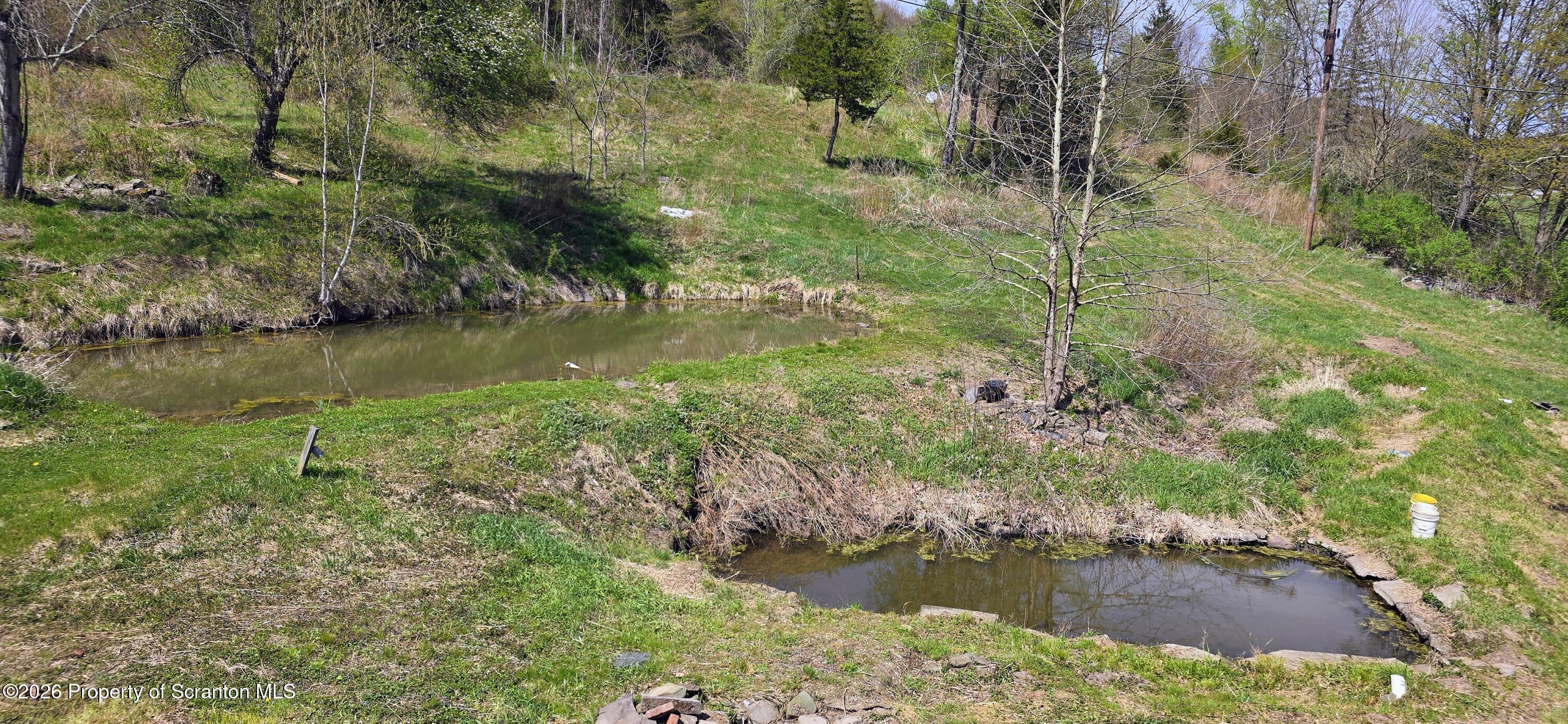 1181 White Creek Road Meshoppen, PA 18630 - Photo 8 of 50 20260423_143130~2