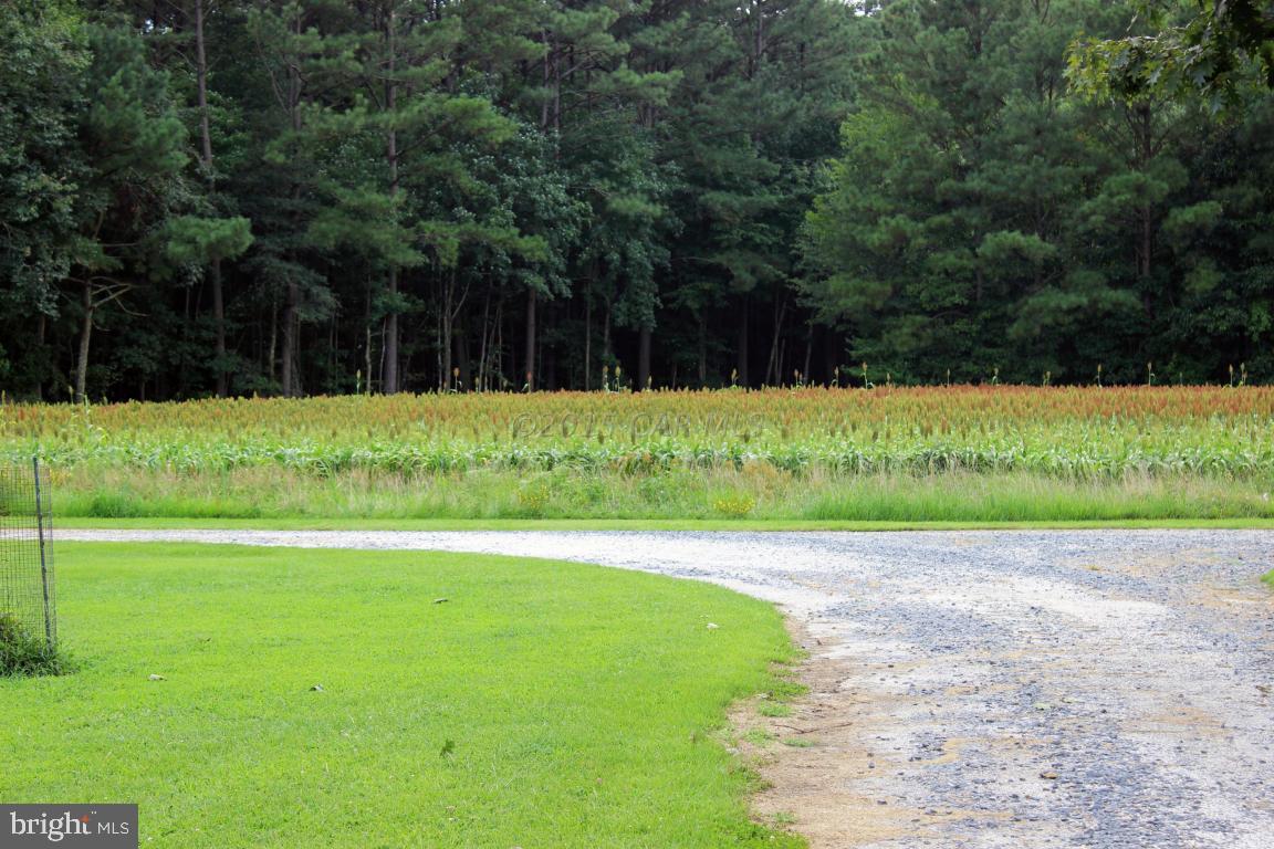 6267 Catchpenny Road Quantico, MD 21856 - Photo 2 of 38