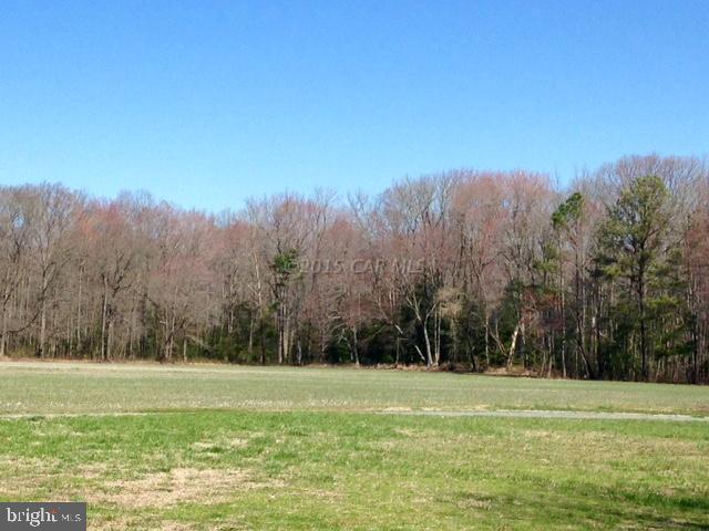 6267 Catchpenny Road Quantico, MD 21856 - Photo 17 of 38