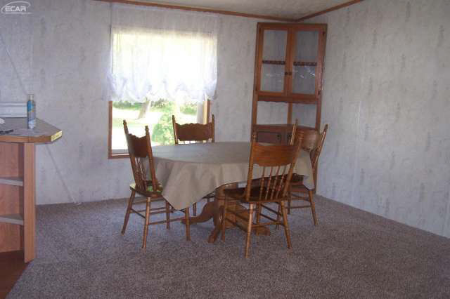 11175 Britton Road Byron, MI 48418 - Photo 7 of 17 21173852-6.JPG