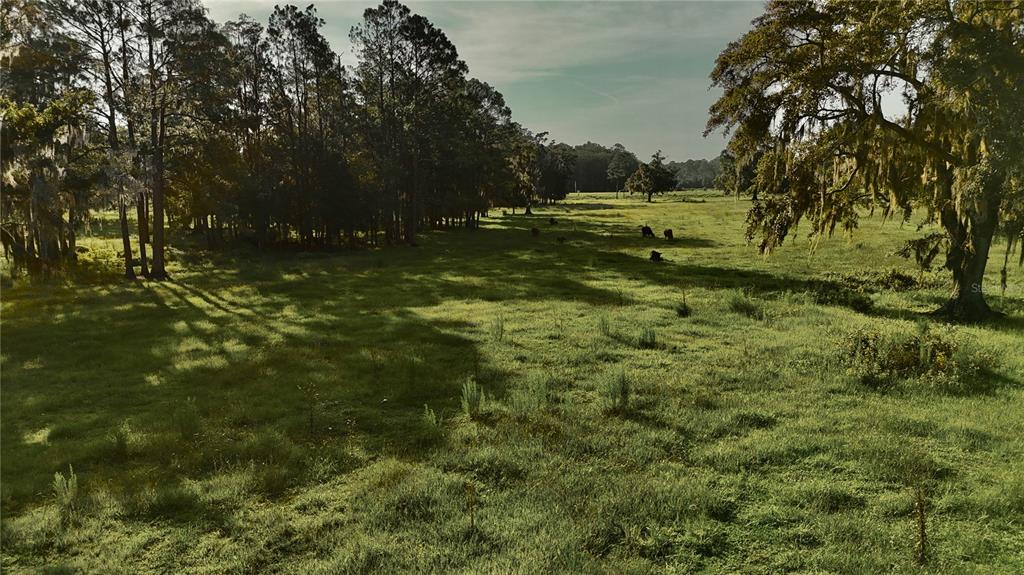 4802 Northwest 50th Road Starke, FL 32091 - Photo 15 of 75 Gallery Image 15
