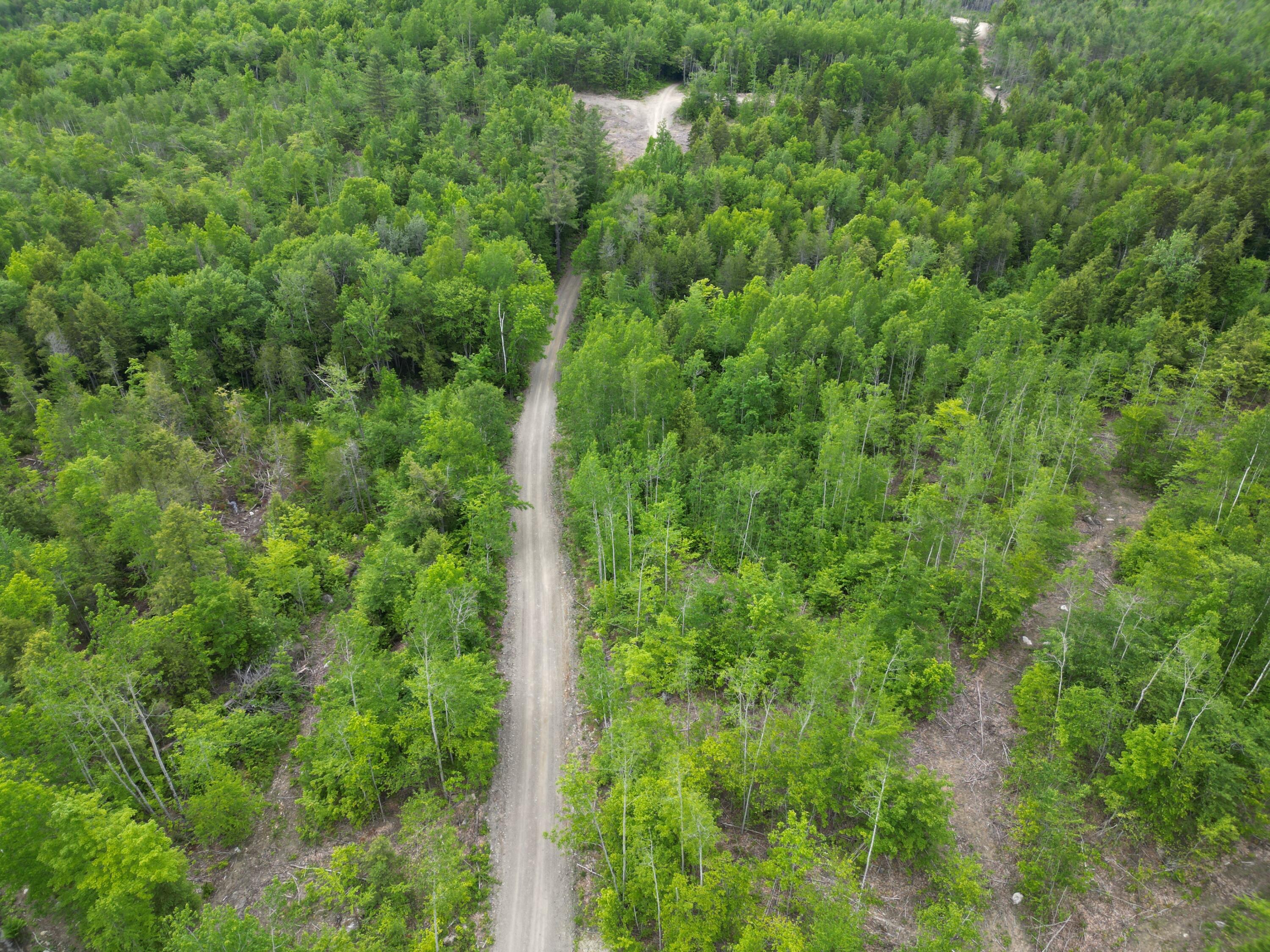 Lot 4 Shep Road Extension Springfield, ME 04487 - Photo 14 of 17 DJI_0254