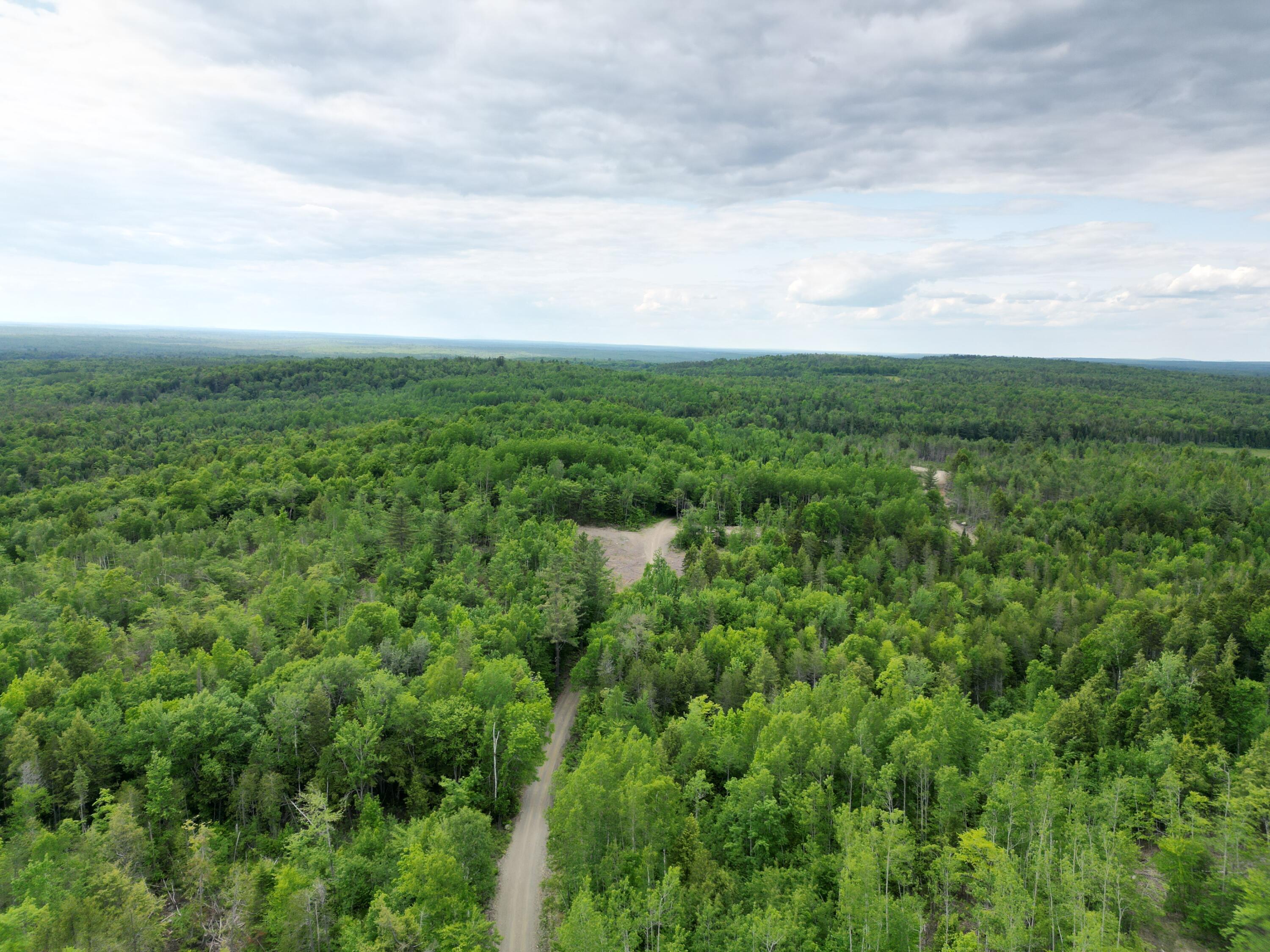 Lot 4 Shep Road Extension Springfield, ME 04487 - Photo 15 of 17 DJI_0255