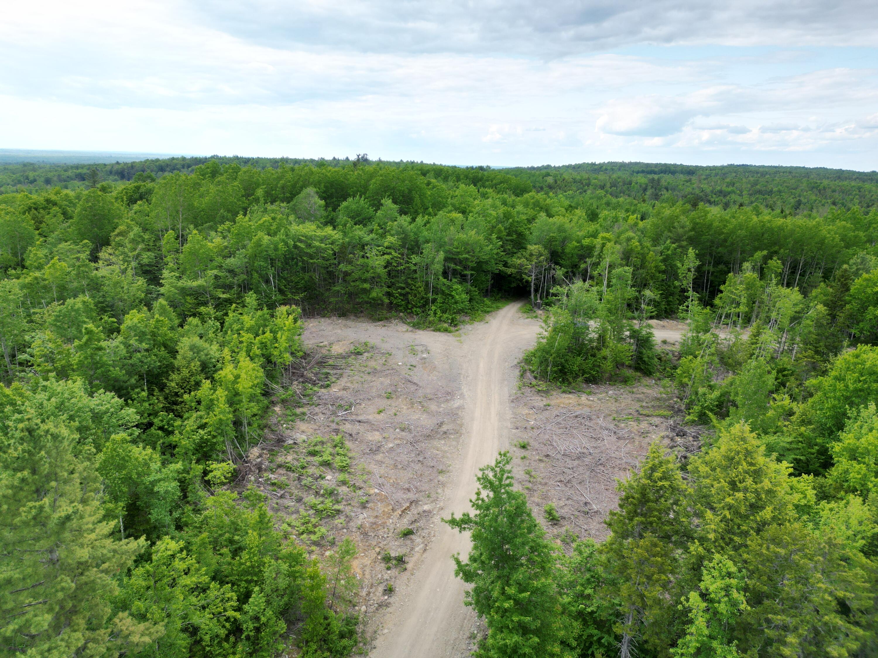 Lot 4 Shep Road Extension Springfield, ME 04487 - Photo 16 of 17 DJI_0256