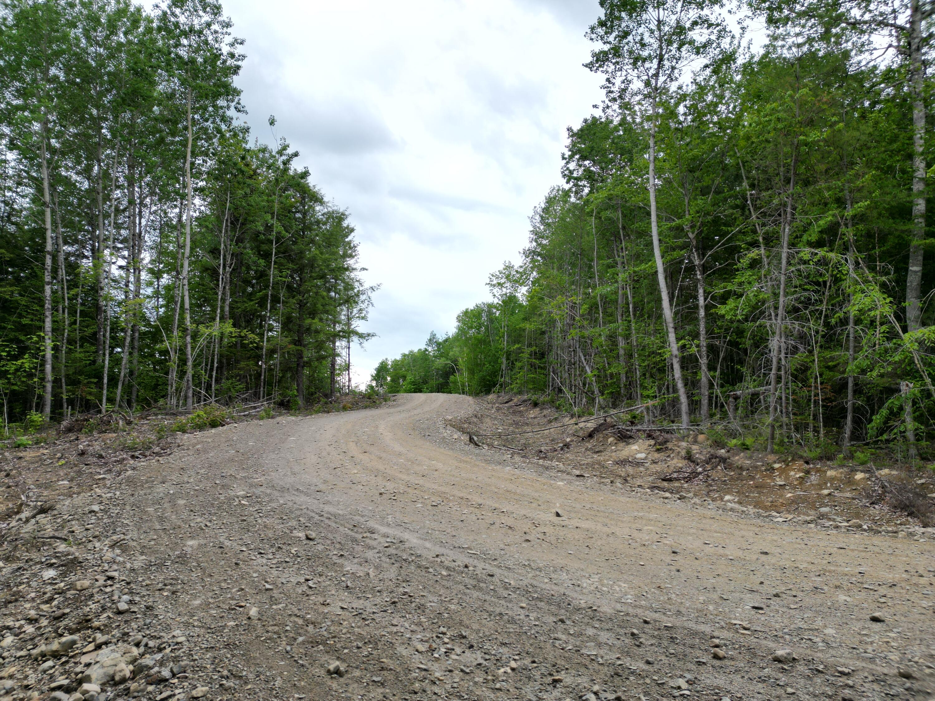 Lot 4 Shep Road Extension Springfield, ME 04487 - Photo 3 of 17 DJI_0242