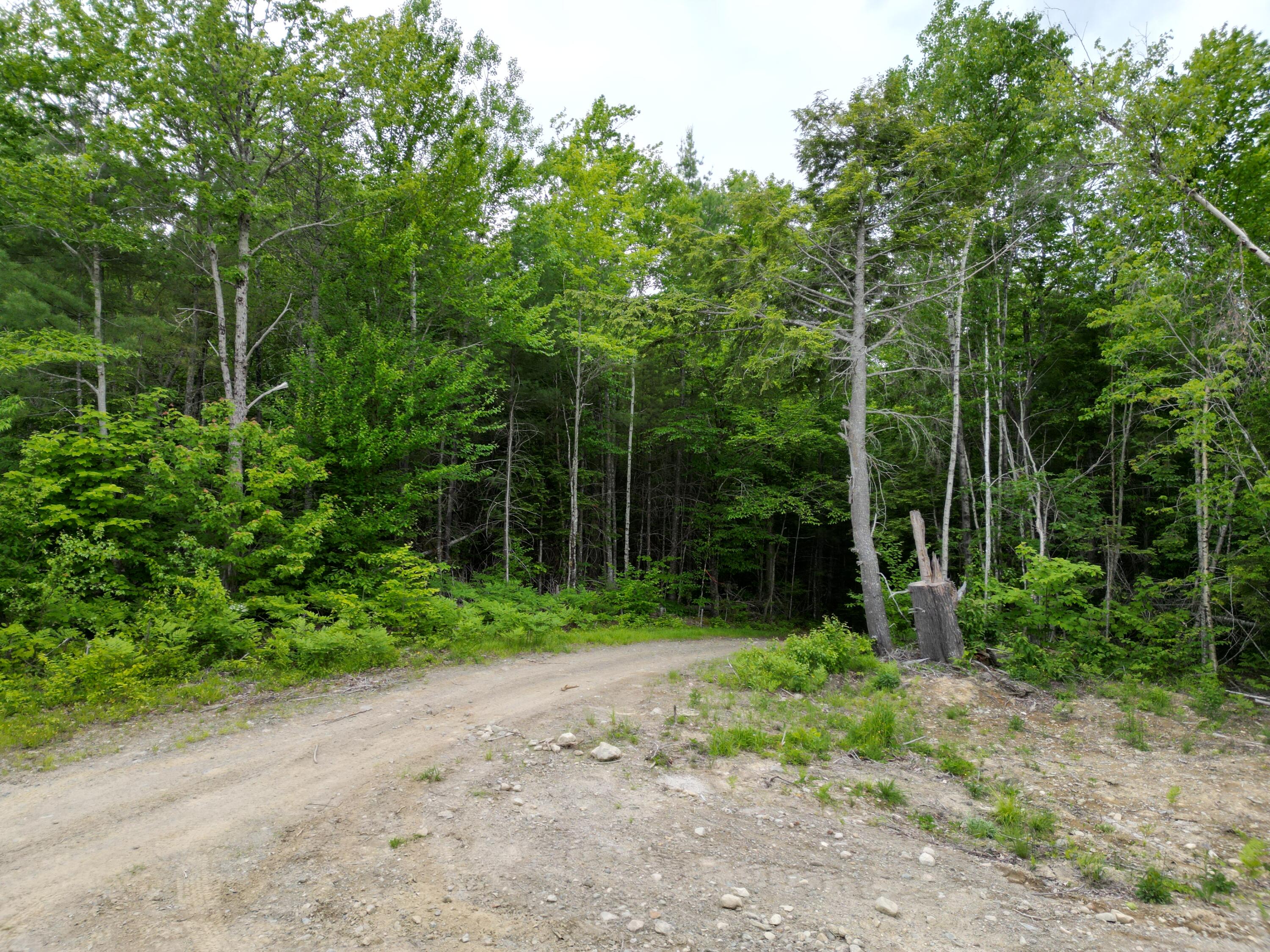 Lot 4 Shep Road Extension Springfield, ME 04487 - Photo 5 of 17 DJI_0244