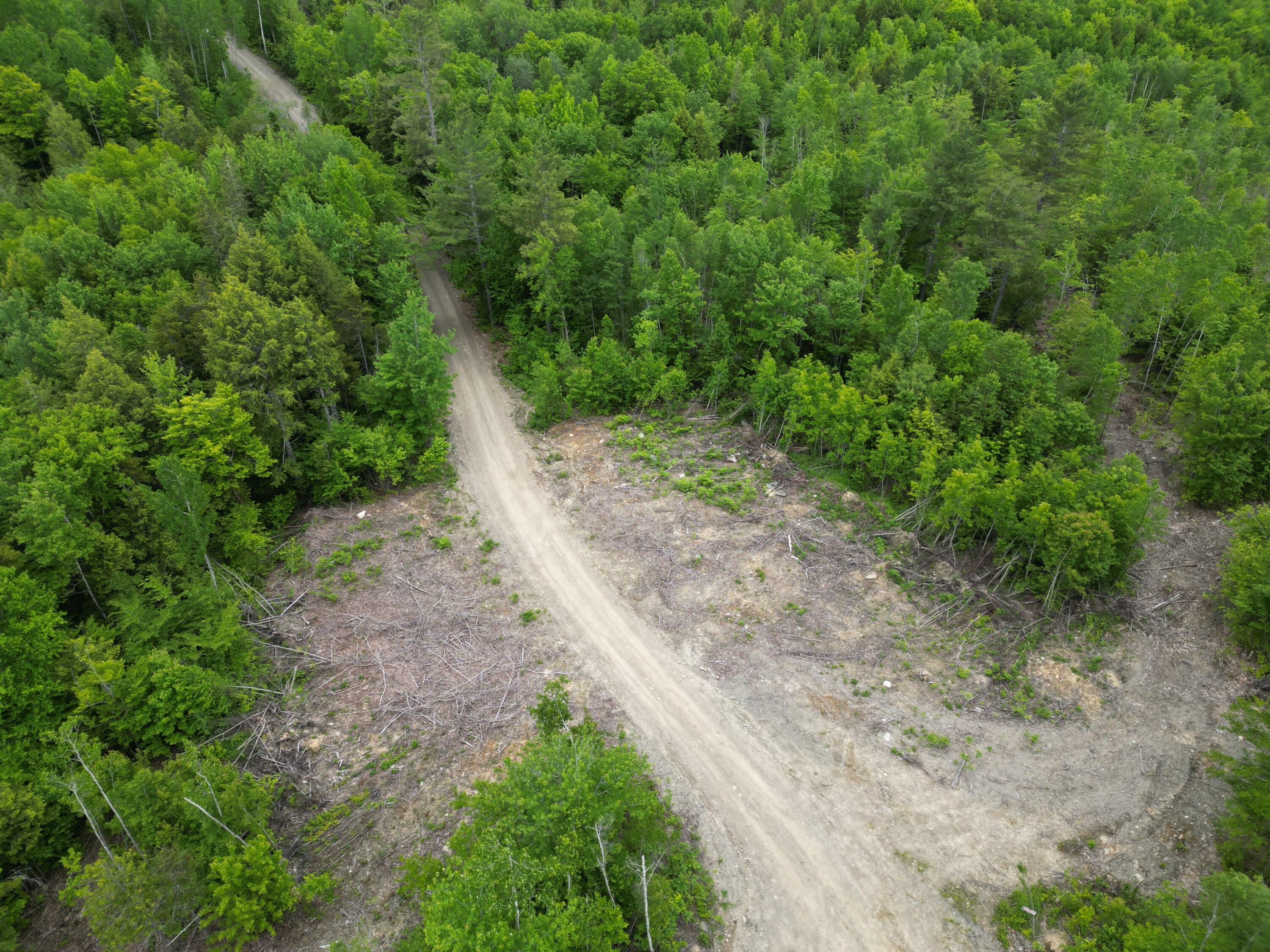 Lot 4 Shep Road Extension Springfield, ME 04487 - Photo 7 of 17 DJI_0247