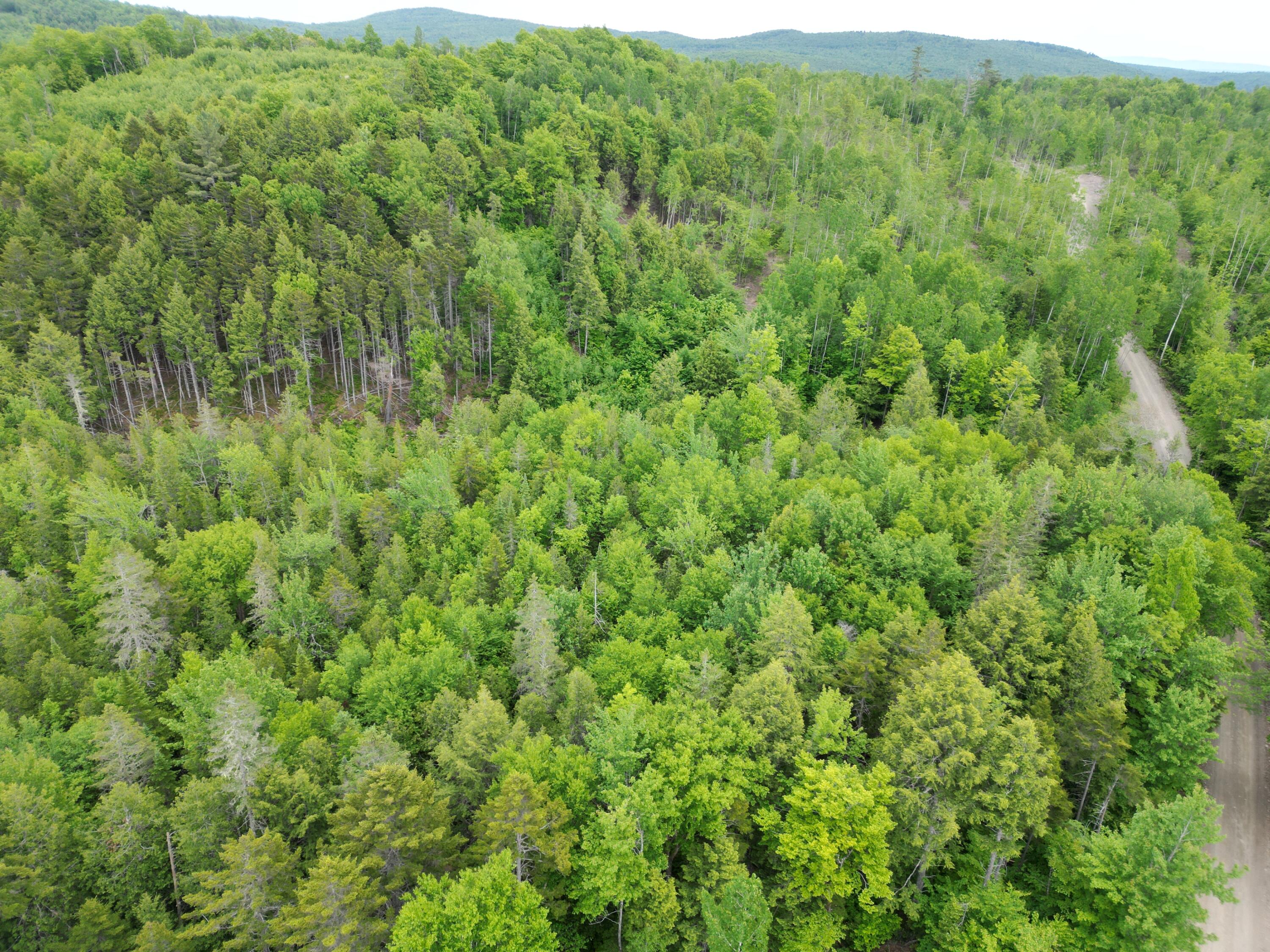 Lot 4 Shep Road Extension Springfield, ME 04487 - Photo 8 of 17 DJI_0248