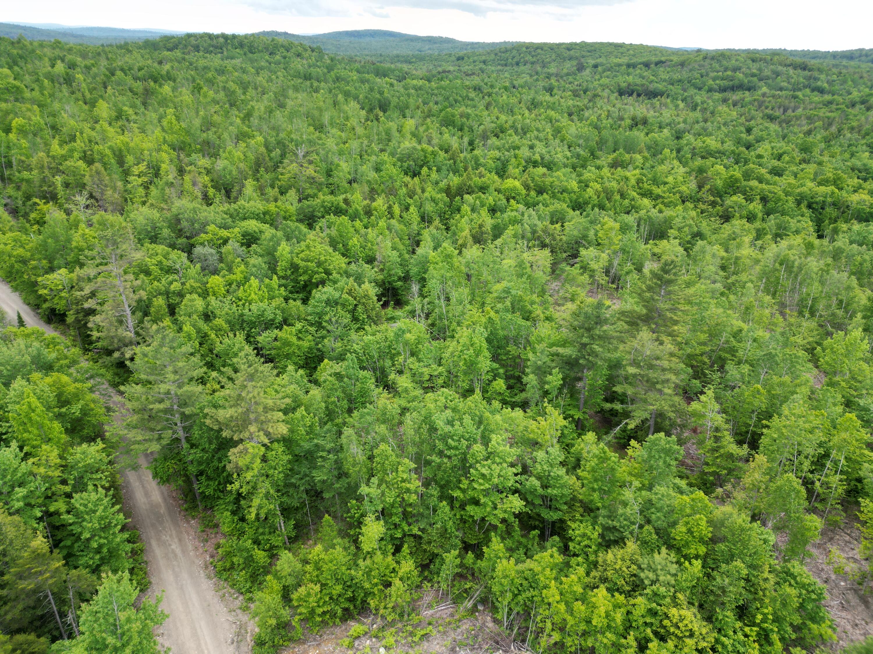 Lot 4 Shep Road Extension Springfield, ME 04487 - Photo 9 of 17 DJI_0249