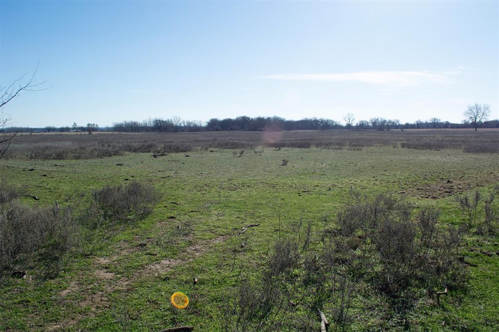 Tbd Bounty Road Perrin, TX 76486 - Photo 11 of 29