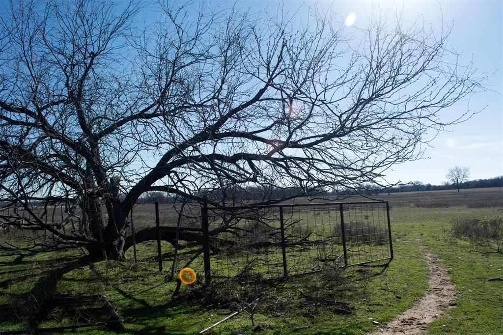 Tbd Bounty Road Perrin, TX 76486 - Photo 21 of 29