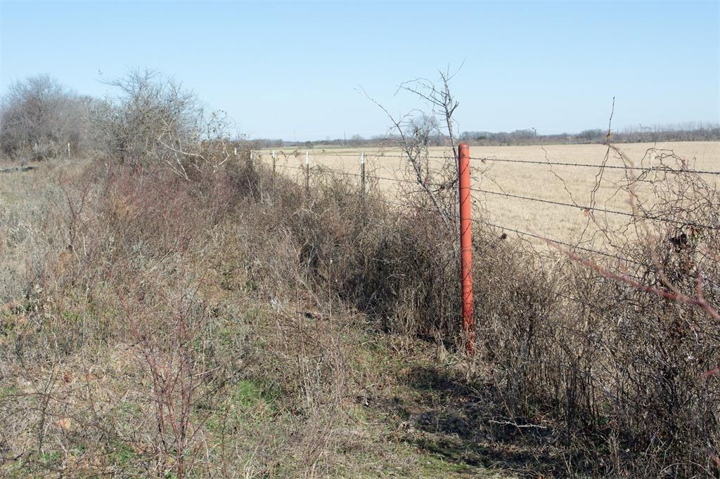 Tbd Bounty Road Perrin, TX 76486 - Photo 8 of 29