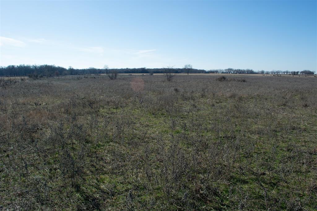 Tbd Bounty Road Perrin, TX 76486 - Photo 9 of 29