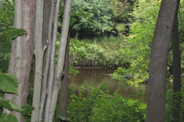 $625,000 | 14984 135th Street, Foreston, MN 56330