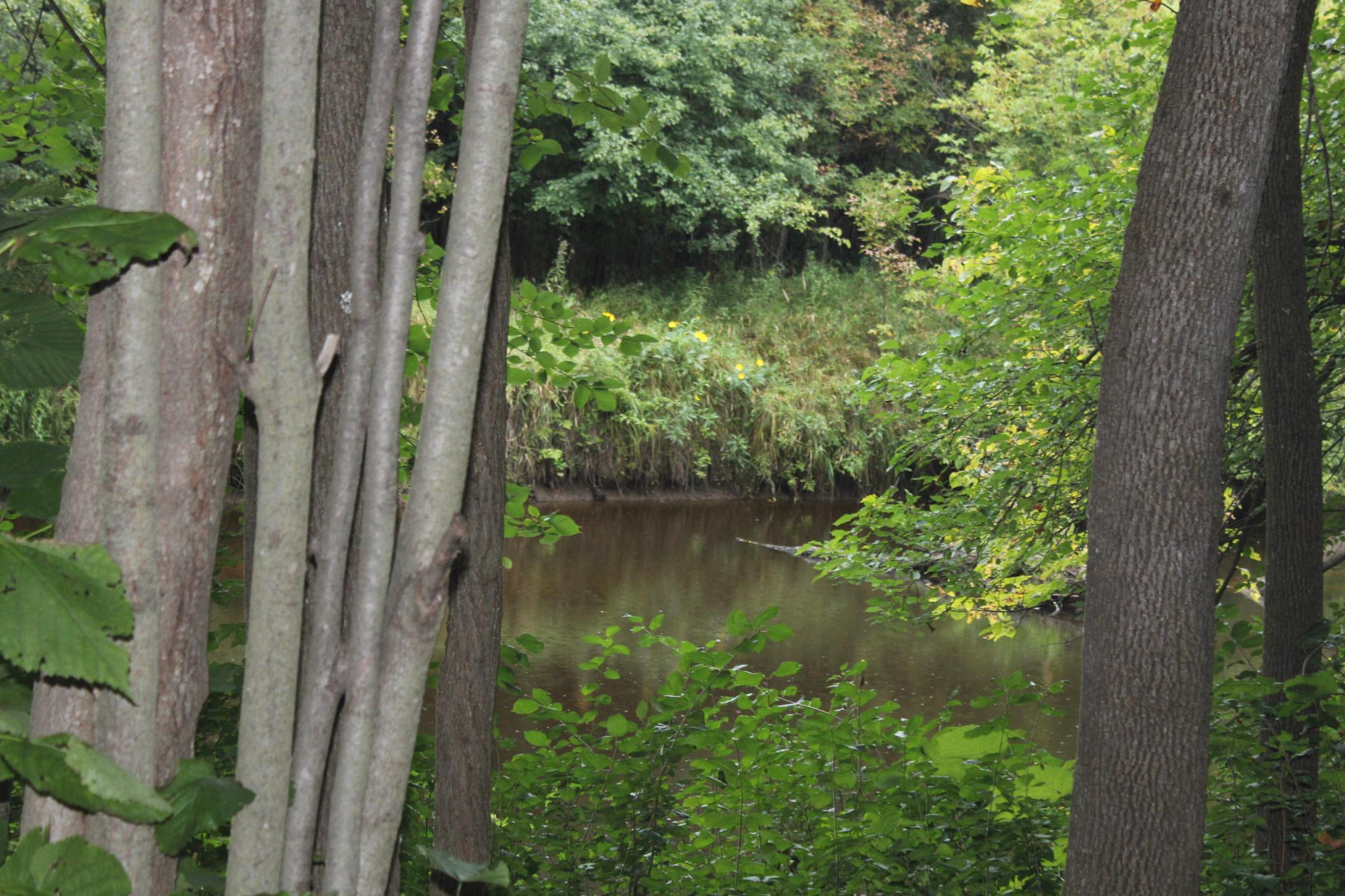 14984 135th Street Foreston, MN 56330 - Photo 22 of 42